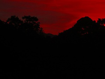 真っ赤な夕日