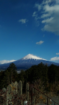 1月２4日の富士山