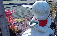 ハートのお茶碗