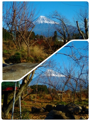 富士山Ｔｅａパークから新年おめでとうございます