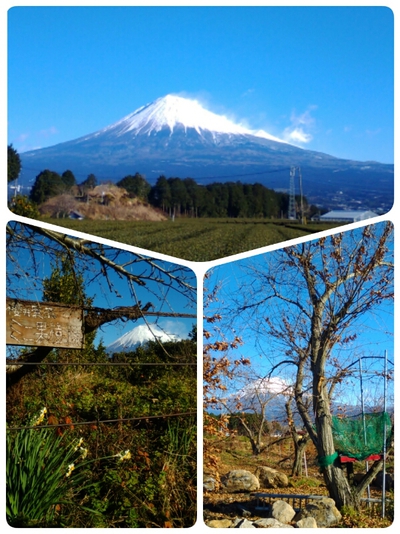 今年一番の富士山
