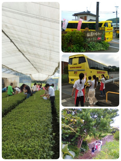 今日は職場旅行のお客様でした