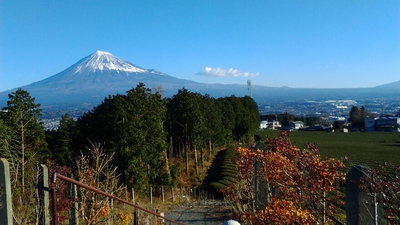 富士山Ｔｅａパークから新年おめでとうございます