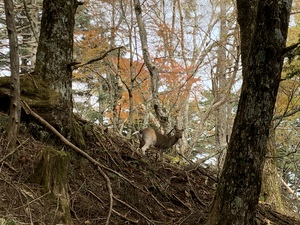山頂のお寺は至れり尽くせり