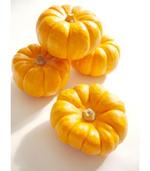 Happy Halloween♪