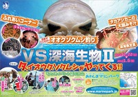 12/22～1/6：あわしまマリンパーク　冬休みイベント