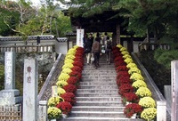 9/22～10/31：修善寺　菊花まつり