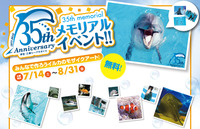 7/14～8/31：夏のみとしーに遊びに行こう！