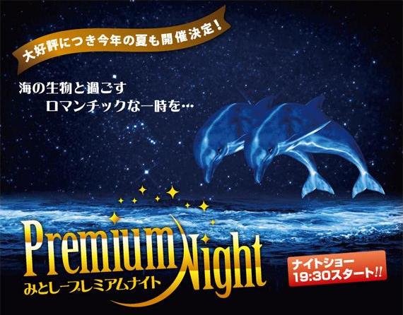 みとしープレミアムナイト