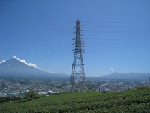 夏の富士山