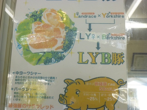 LYB豚（ルイビ豚）とは(^O^)