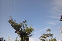 秋の朝　澄んだ空
