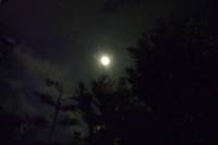 ある夜の月。