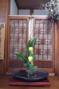 久々のお稽古