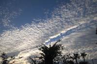 秋の空