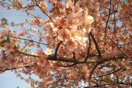 穏やかな いい一日。