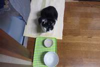 おねだり