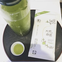 冷茶におすすめなお茶紹介