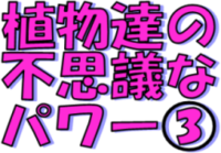 ★植物達のﾊﾟﾜｰに学ぶ③★ 2013/07/07 14:40:52