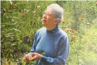 伝えたい事〈食〉辰巳芳子② 2014/09/21 14:54:14