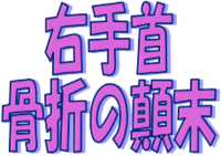★右手首骨折の顛末★