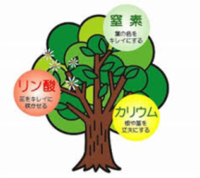 ★造園･施･技･問題⑩《土壌》★ 2017/02/25 11:29:56