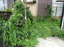 ★SK様邸・お庭の手入れ★