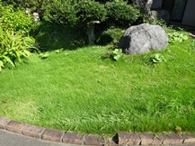 ★OK様邸・芝・草刈り★