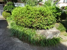 ★OK様邸・芝・草刈り★
