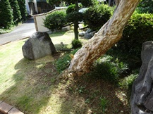 ★OK様邸・芝・草刈り★