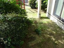 ★OK様邸・芝・草刈り★