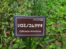 皇居東御苑・二の丸庭園③