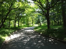 皇居東御苑・二の丸庭園④