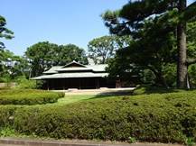 皇居東御苑・二の丸庭園④