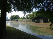 皇居東御苑・二の丸庭園④