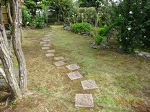 ★先週の手入れから②★