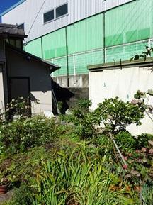 ★YU様邸・伐木★