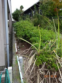 ★生垣の剪定・芝刈りなど★
