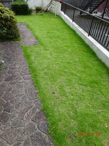 ★生垣の剪定・芝刈りなど★