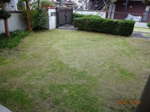 ★生垣の剪定・芝刈りなど★