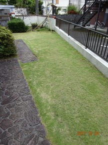 ★生垣の剪定・芝刈りなど★