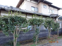 ★TY様邸･お庭の手入れ★