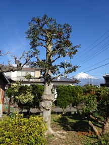 ★TY様邸･お庭の手入れ★