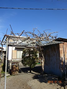 ★TY様邸･お庭の手入れ★