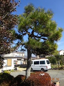 ★TY様邸･お庭の手入れ★