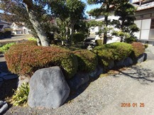 ★TY様邸･お庭の手入れ★
