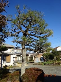 ★TY様邸･お庭の手入れ★