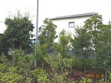 S社様･緑地帯･手入れ⑪