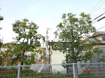 S社様･緑地帯･手入れ⑪