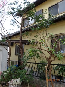 ★MK様邸・お庭の手入れ★